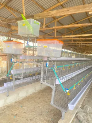 Poultry Fabricated