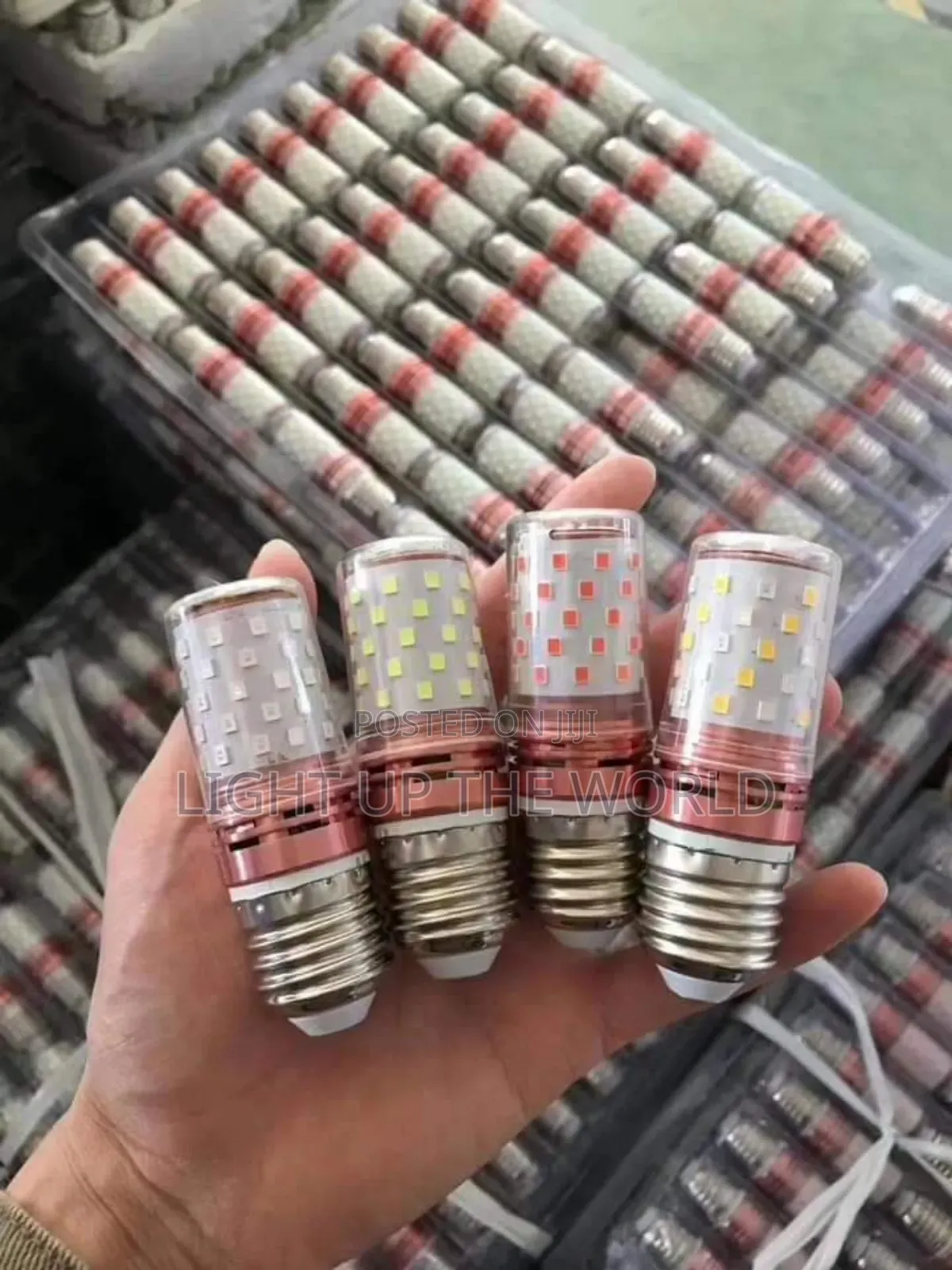 Small Bulb