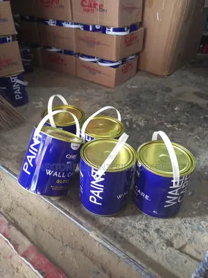 Care Gloss Paint