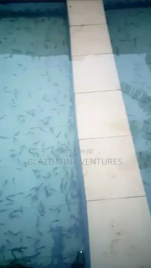 Fish Pond Rental