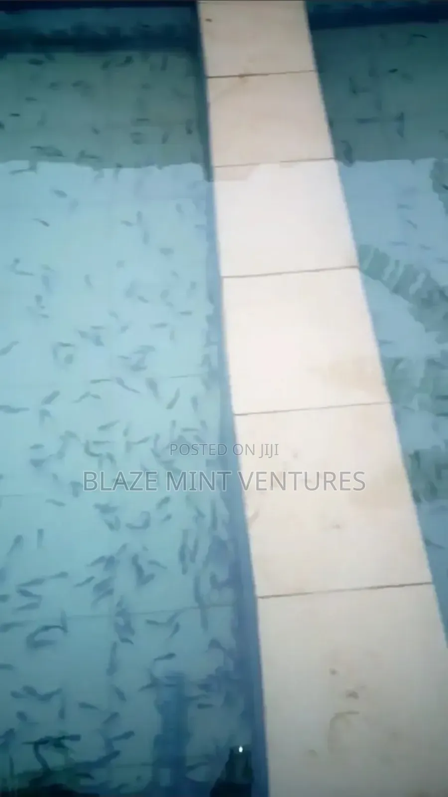 Fish Pond Rental