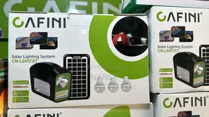 Solar Lighting System
