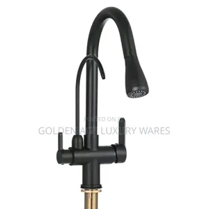 Black Double Discharge Pullout Kitchen Tap