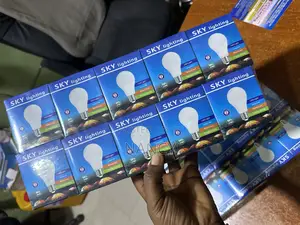 12watts DC Bulb