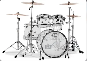Dw Professional Drums