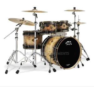 Dw Professional Drums
