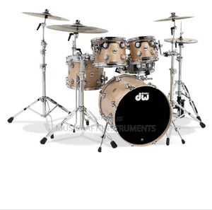 Dw Professional Drums