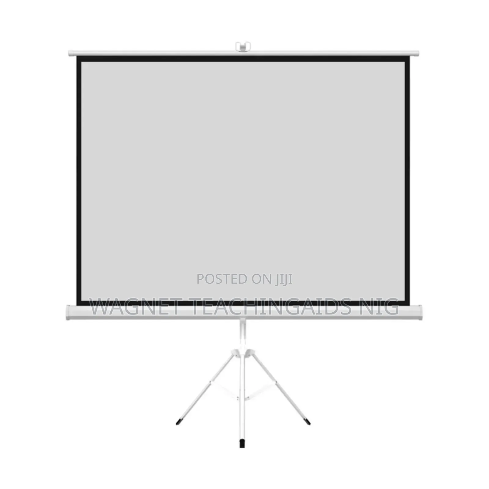 72x72inches Projection Screen For Rent