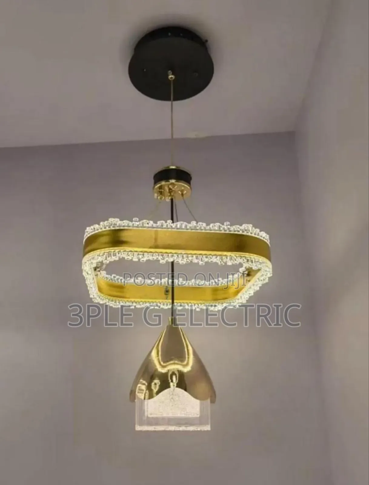 Indoor Single Dropping Lamp