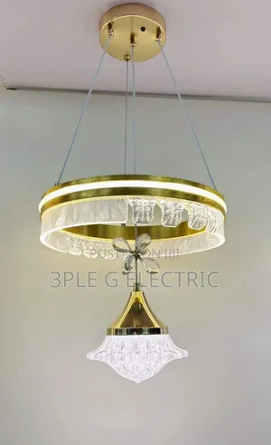 Indoor Single Dropping Lamp