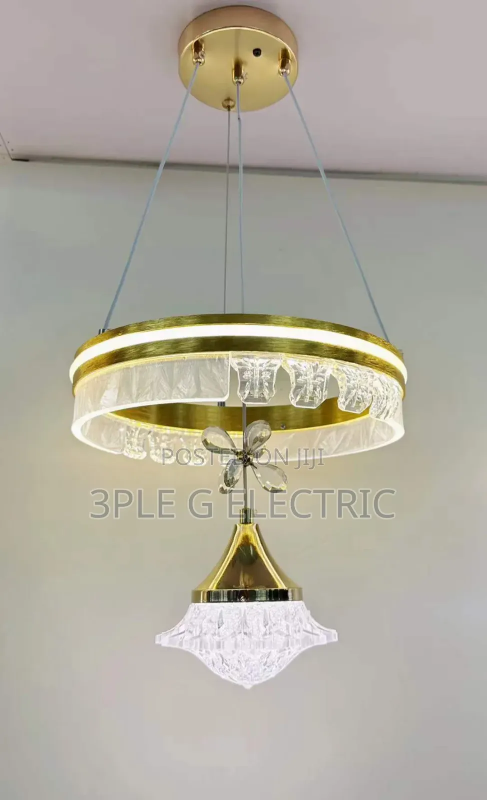 Indoor Single Dropping Lamp