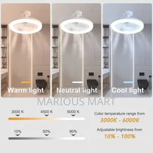 3in1 Ceiling Fan Bulb