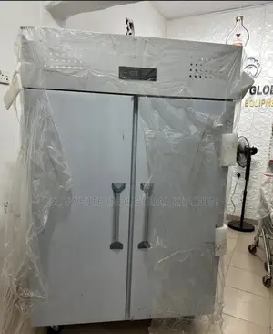 Double Door Industrial Freezer