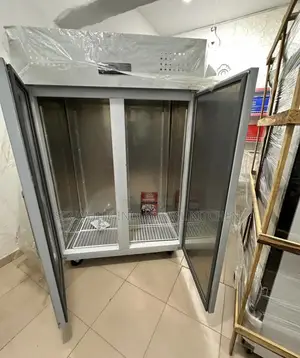 Double Door Industrial Freezer
