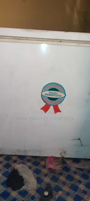 Photo - Thermocool Chest Freezer