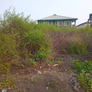 9 Plots of Land Facing Express in Bogije. Title: Consent
