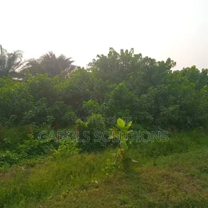 4, Plots Facing Express, Oribanwa. Title: Consent