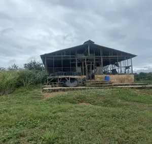 Photo - Poultry Farm