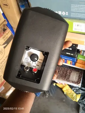 Boom Mini Wall Hanging Speaker.