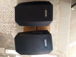 Boom Mini Wall Hanging Speaker.