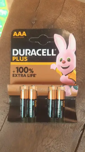 Alkaline Batteries