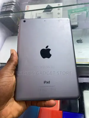Apple iPad mini 2 16 GB Gray
