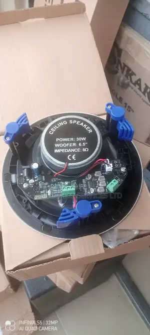2in1 Bluetooth Ceiling Speaker