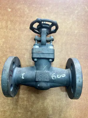 Gate Valve 1inche X 600