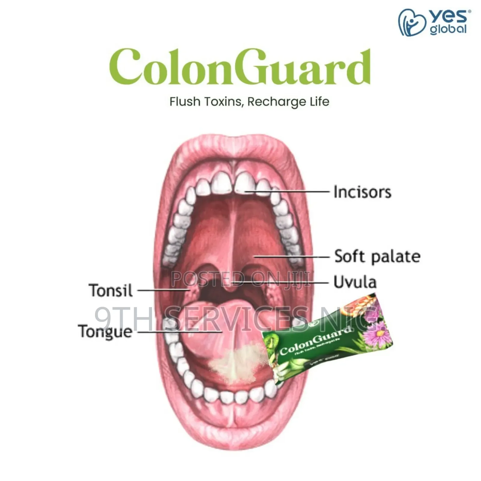 Yes Global Colonguard Full Probiotic Detox