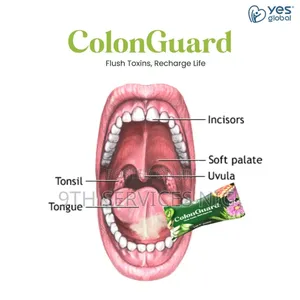 Yes Global Colonguard Full Probiotic Detox