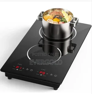 Two Burner Hot Plate Available