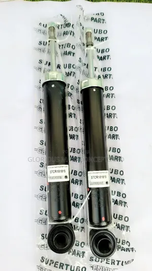 2018 - 2021 Camry Rear Shock Absorber