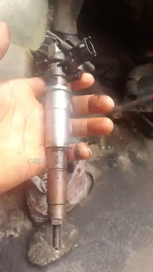Diesel Nozzle for Renault,Kia Nissan, Toyota,Etc