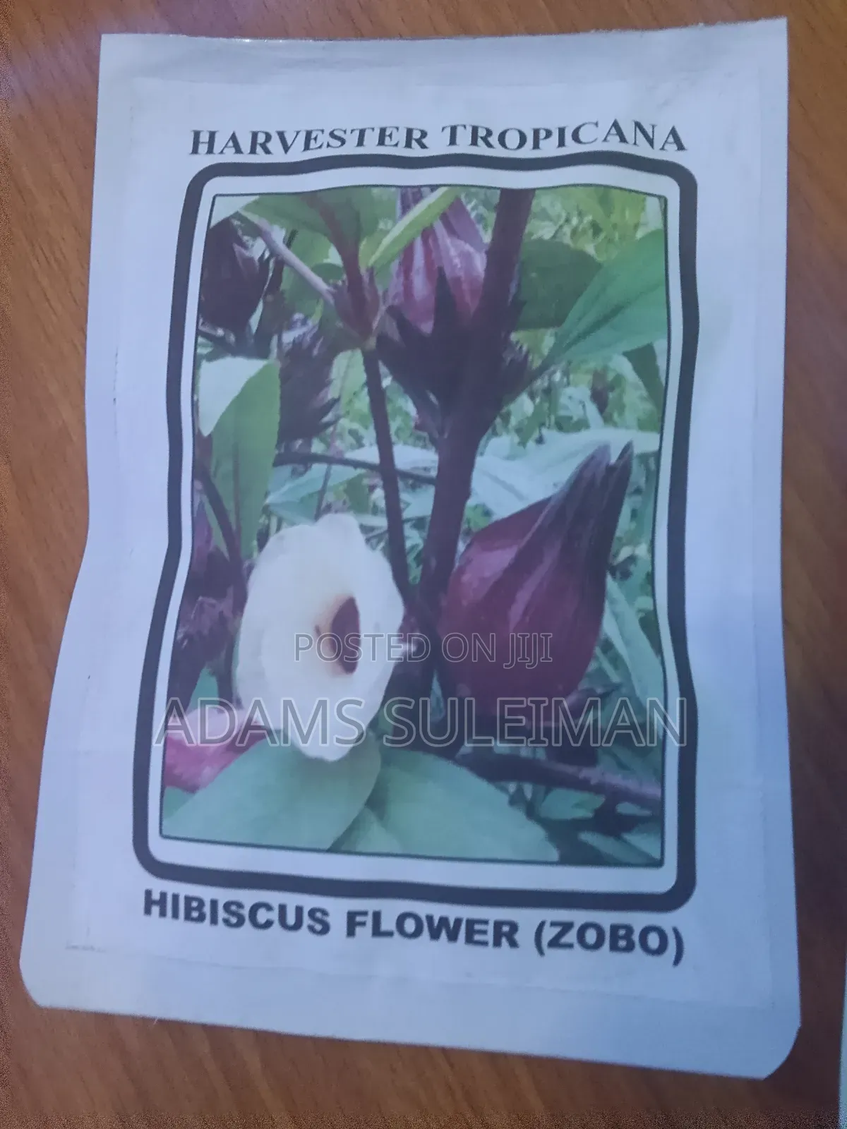 Vegetables Seeds