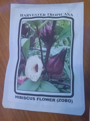 Vegetables Seeds