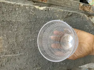 6pcs Acrylic Whiskey Cup