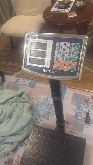 500kg Electric Scale Available