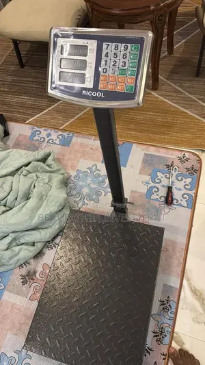 500kg Electric Scale Available
