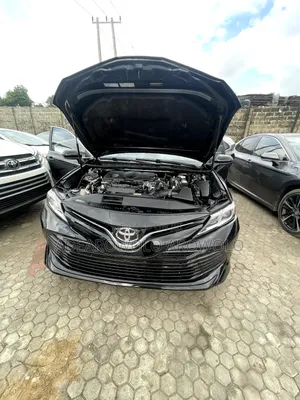 Toyota Camry LE FWD 2020 Brown