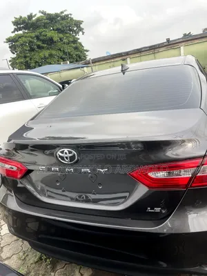 Toyota Camry LE FWD 2020 Brown
