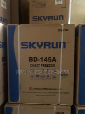 Store More, Sell More - Skyrun 145L Chest Freezer for Busine