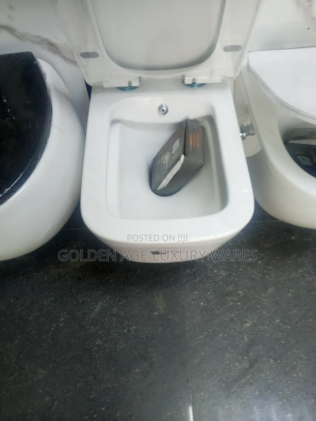 Bidet Concealed Wc