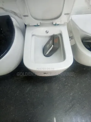 Bidet Concealed Wc