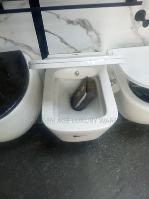 Bidet Concealed Wc