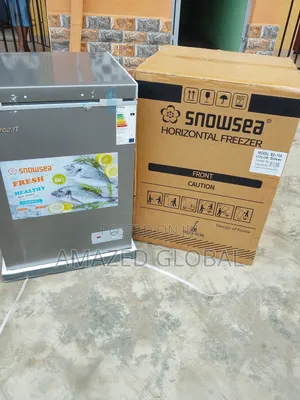 Super Strong Cooling Snowsea Chest Freezer 100L -Silver