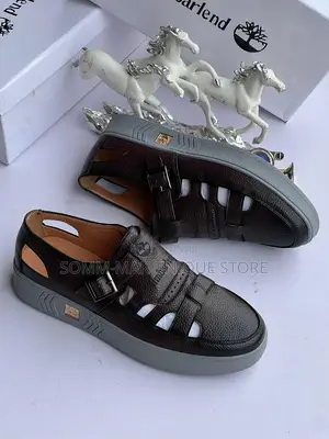 Photo - Men Sandal Shoe