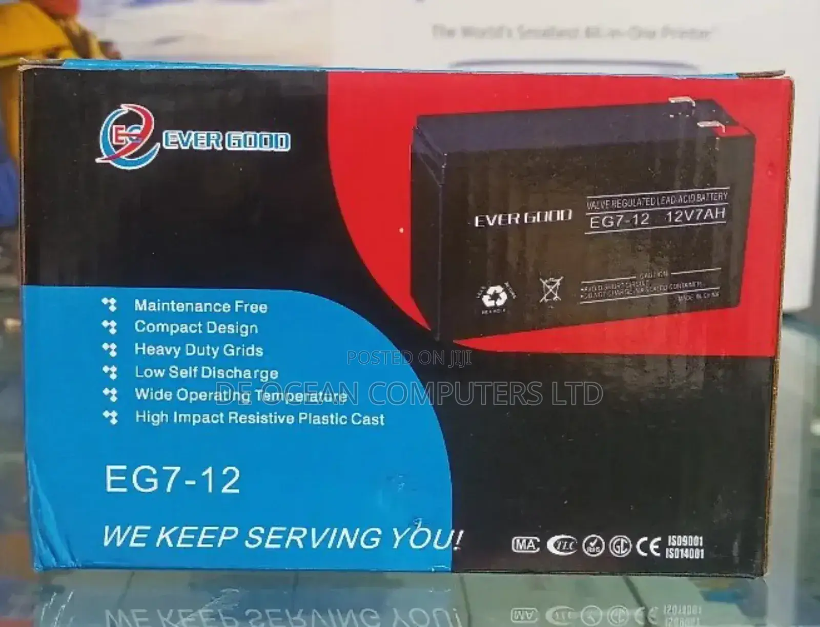Ever Good UPS Battery