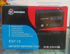 Ever Good UPS Battery