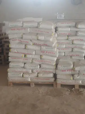Mr. Putty Mixes Easily With Water Visit Wuse 2 Office