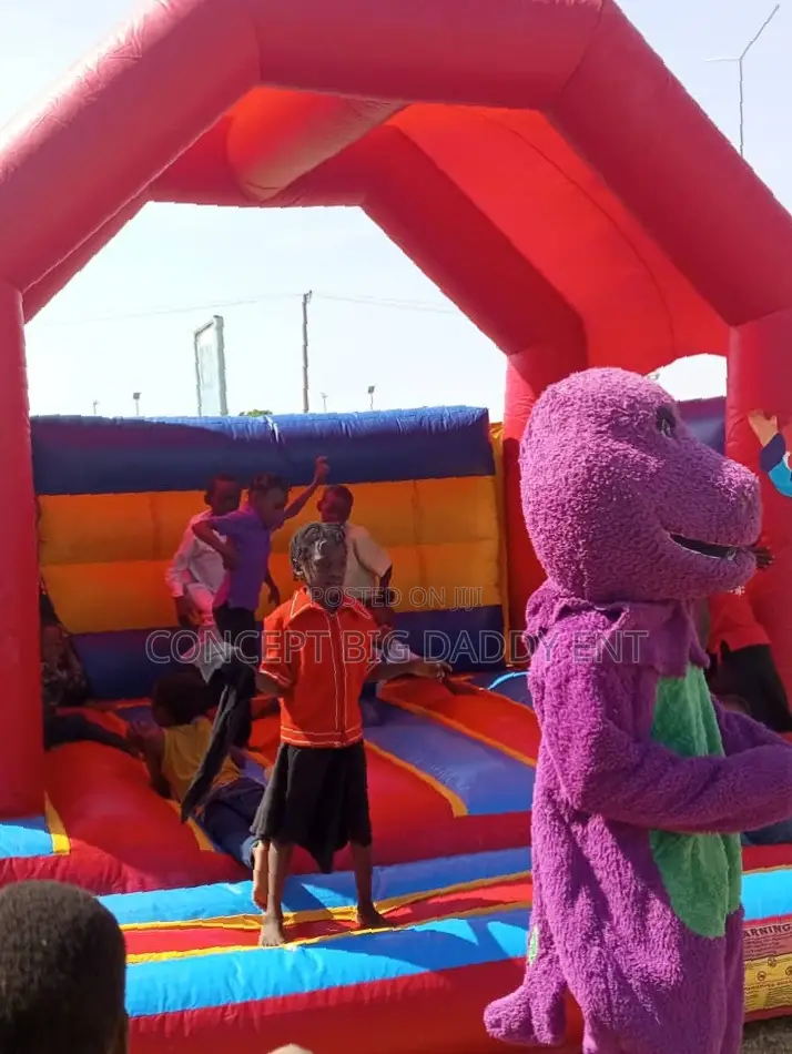 Bouncing Castle